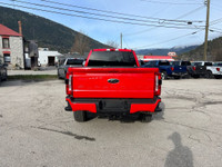 LARIAT 4WD Crew Cab 6.75' Box Engine: 6.7L 4V OHV POWER STROKE V8 TURBO DIESEL B20 (image 3)