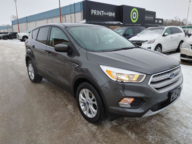  2019 Ford Escape SE in Cars & Trucks in Winnipeg - Image 2