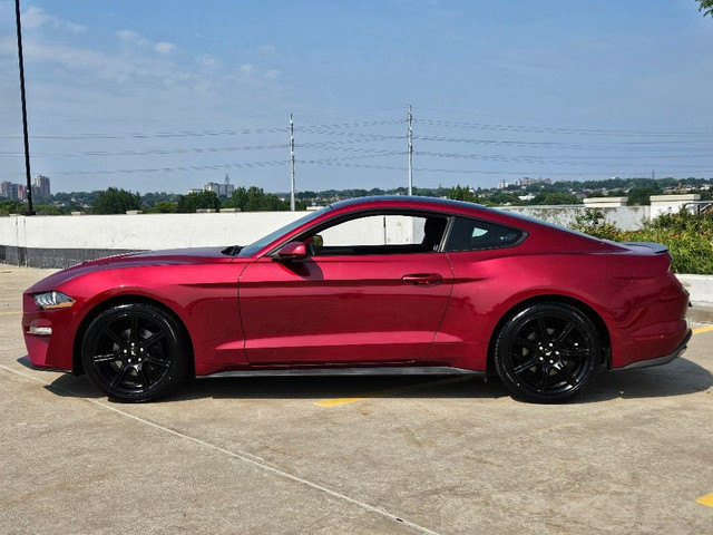 2019 Ford Mustang ECOBOOST FASTBACK-AUTO-CARPLAY-CAMERA-NEW TIRE in Cars & Trucks in City of Toronto - Image 4