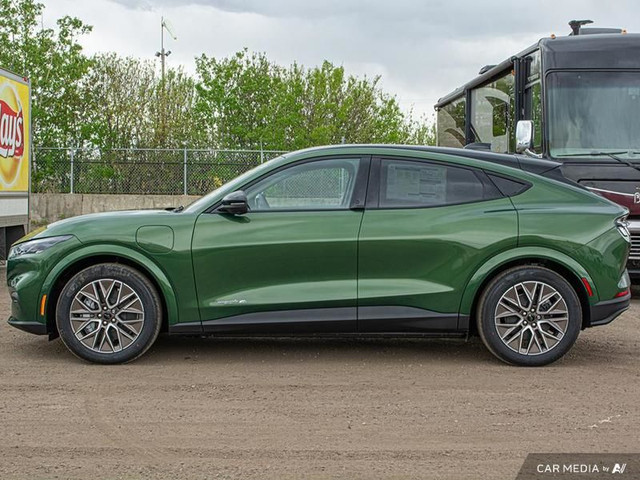 2025 Ford Mustang Mach-E Premium AWD in Cars & Trucks in Edmonton - Image 3