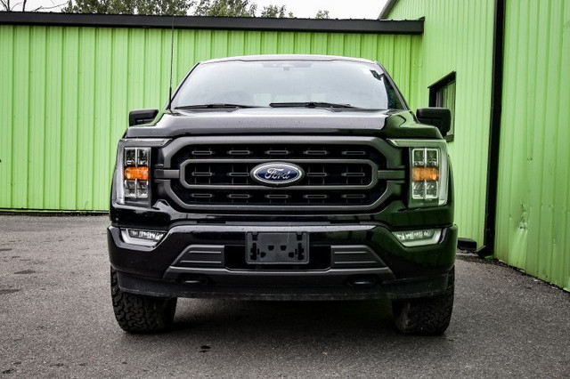 2023 Ford F-150 XLT - Aluminum Wheels - SYNC in Cars & Trucks in Kingston - Image 4