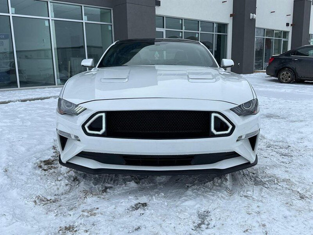 2019 Ford Mustang EcoBoost Premium in Cars & Trucks in St. Albert - Image 2