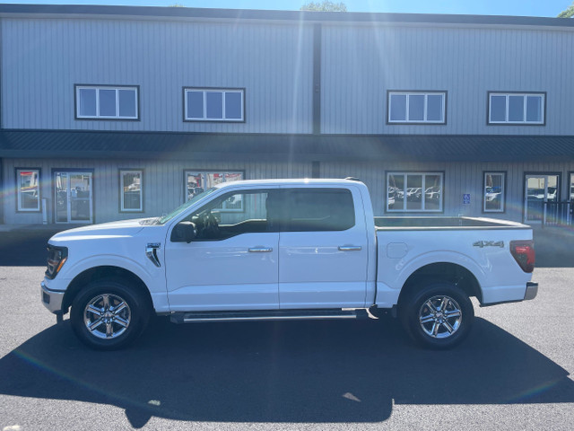 2024 Ford F-150 XLT -Navigation-Clean Carfax- in Cars & Trucks in Annapolis Valley