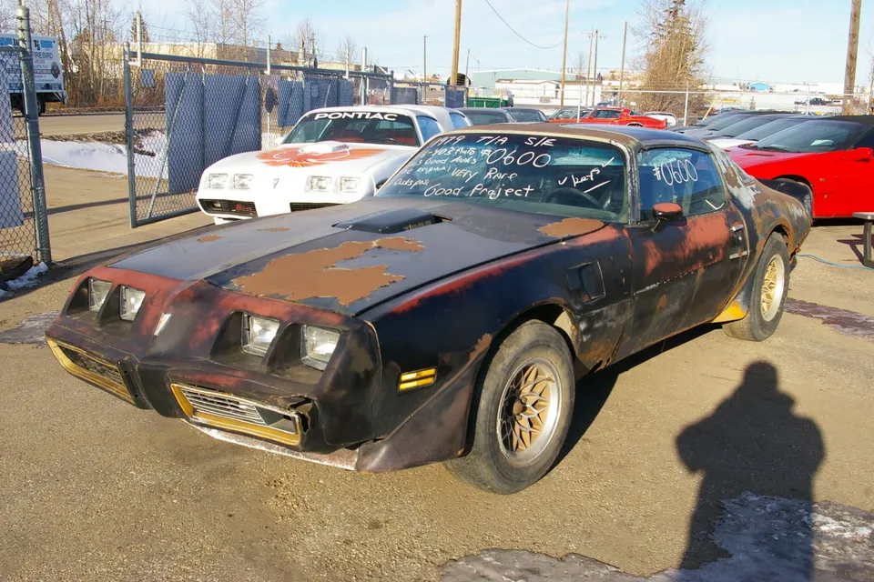 1979 TRANS AM Special Edition WS6 403 Olds 6.6L T-Top