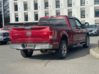 This 2015 Ford F-150 XLT has a Ruby Red Metallic exterior and Grey Cloth Interior with seating for 5... (image 6)