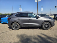 Employee Pricing on now! You pay what we pay on every New and Used Vehicle at Maclin Ford - Calgarys... (image 5)