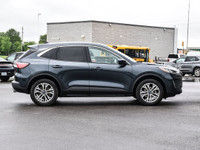 Please refer to https://taylorfordsales.com/new-inventory/ for up to date pricing breakdowns and pic... (image 5)