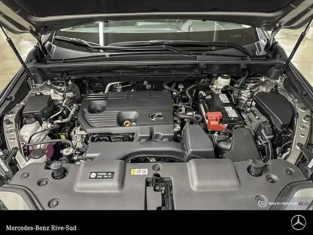 2024 Lexus NX 250 in Cars & Trucks in Longueuil / South Shore - Image 19