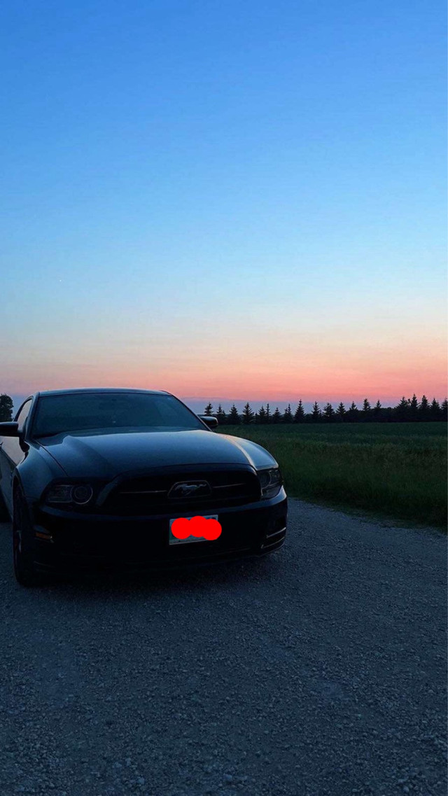 Ford Mustang in Cars & Trucks in Winnipeg - Image 2