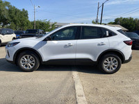 **WE WILL BEAT ANY FORD DEALER IN THE CITY** Built for drivers who crave excitement and versatility,... (image 2)