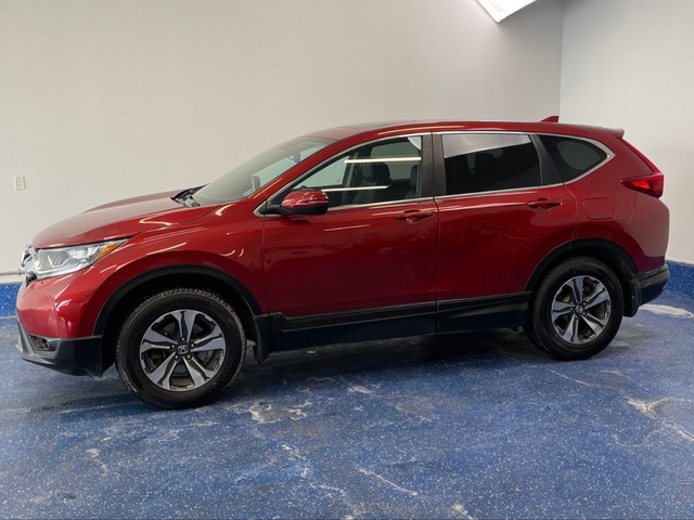 2019 Honda CR-V in Cars & Trucks in Truro - Image 3
