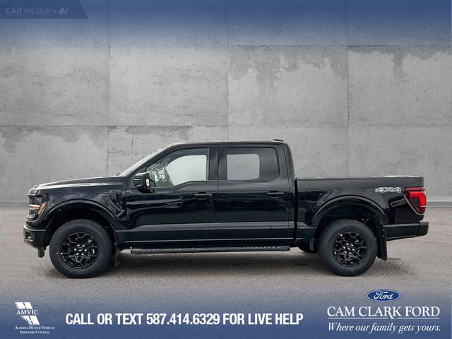 2025 Ford F-150 XLT in Cars & Trucks in Calgary - Image 4