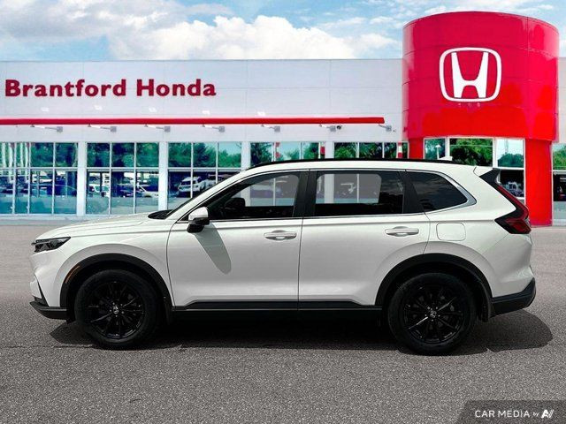 2023 Honda CR-V Sport in Cars & Trucks in Brantford - Image 2