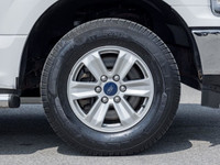 Ready for anything, built for everything. The 2019 Ford F-150 XLT 4x4 stands as a testament to Ameri... (image 5)