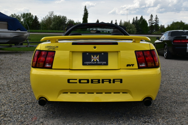 2001 Ford Mustang ***RAG TOP, MANUAL, EXHAUST*** in Cars & Trucks in Calgary - Image 4