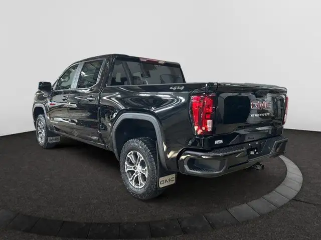 2025 GMC Sierra 1500 Pro in Cars & Trucks in Regina - Image 4