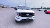 Four Wheel Drive. Cloth Interior. Touchscreen. Bluetooth. Remote Start. Rear View Backup Camera. Pus... (image 3)