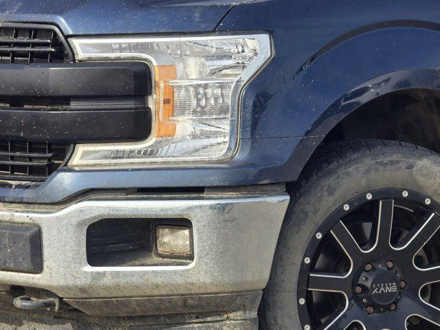 2019 Ford F-150 XLT in Cars & Trucks in Grande Prairie - Image 4