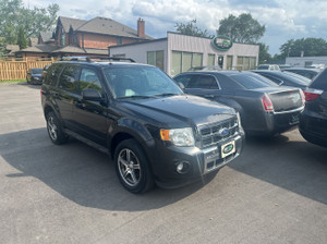2011 Ford Escape 4WD 4dr V6 Auto Limited