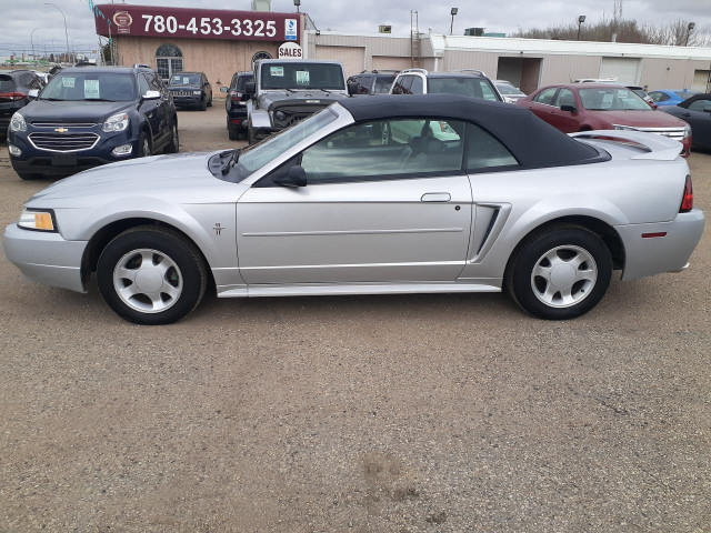  2000 Ford Mustang Convertible Leather Pony Package in Cars & Trucks in Edmonton - Image 4