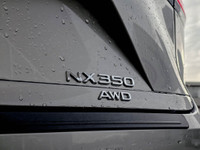 EXTRAS ON VEHICLE PREMIUM PACKAGE -CARGO LINER -DASH CAMERA L/100Km City: 10.9 L/100Km Hwy: 8.5 Safe... (image 8)