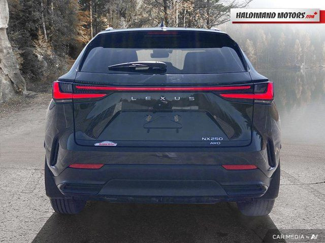 2024 Lexus NX NX 250 in Cars & Trucks in Hamilton - Image 4
