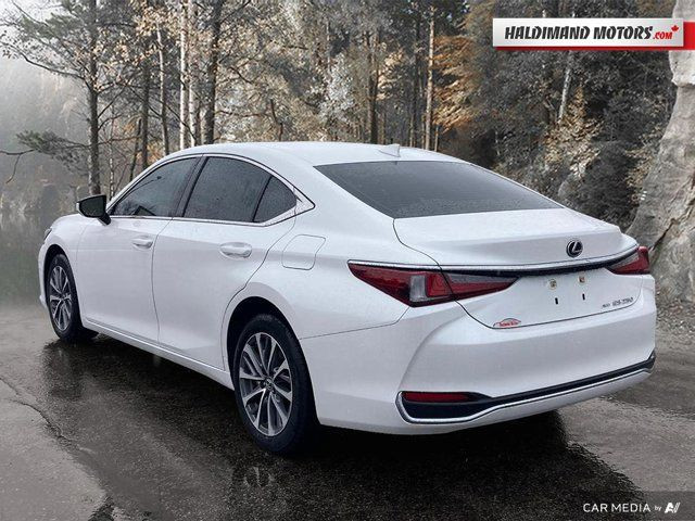 2022 Lexus ES ES 250 in Cars & Trucks in Hamilton - Image 3