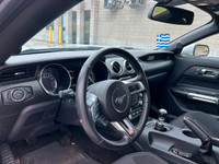 WAS: $22795 NOW: $20888 plus taxes and licensing feesFeel the Thrill! 2017 Ford Mustang V6 - Manual... (image 9)