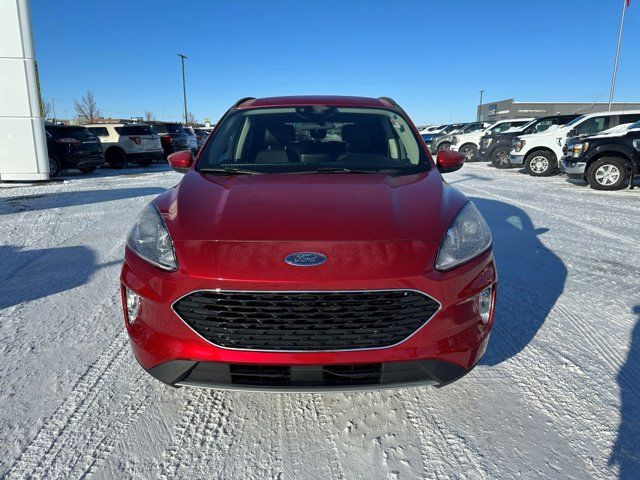 2020 Ford Escape SEL - ADAPTIVE CRUISE AND HEATED STEERING WHEEL in Cars & Trucks in Saskatoon - Image 2