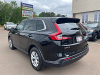 Heated Seats, Apple CarPlay, Android Auto, Remote Start, Adaptive Cruise Control! This all-new Honda... (image 6)