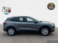 - ONE OWNER - ACCIDENT FREE - HEATED CLOTH SEATS - HEATED STEERING WHEEL - REMOTE START - LANE KEEPI... (image 6)