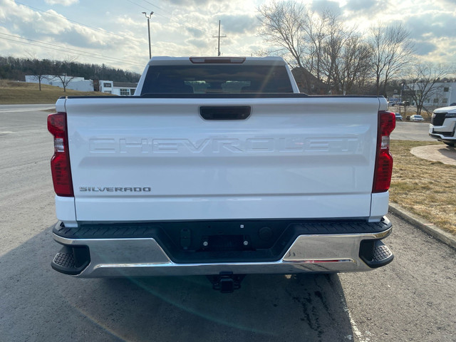 2024 Chevrolet Silverado 1500 Work Truck in Cars & Trucks in Owen Sound - Image 3