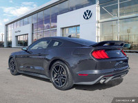 We're excited to offer this versatile 2023 Ford Mustang I4CP. ENGINE: 2.3L ECOBOOST (STD), Trunk Rea... (image 2)