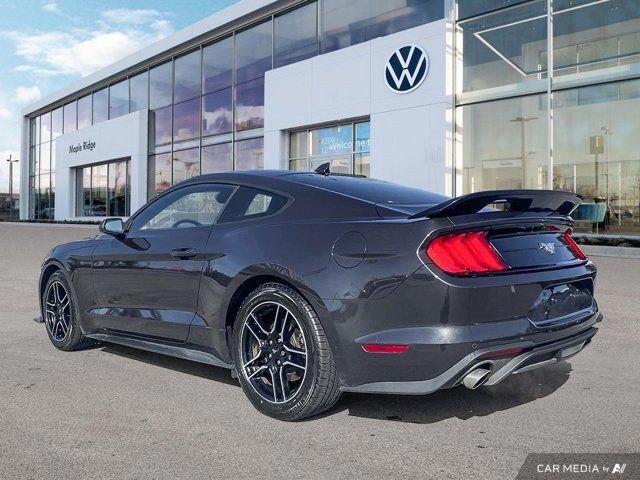 2023 Ford Mustang EcoBoost | One Owner | Blind Spot in Cars & Trucks in Tricities/Pitt/Maple - Image 3