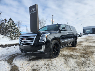 2017 Cadillac Escalade ESV ESV/PLATINUM/LEATHER/SUNROOF/NAV/BACK