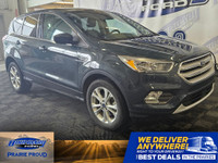  2019 Ford Escape SE Safe & Smart Pkg | Heated Seats | Halogen L