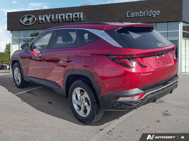 2023 Hyundai Tucson Preferred AWD | Heated Seats + Steering in Cars & Trucks in Cambridge - Image 3