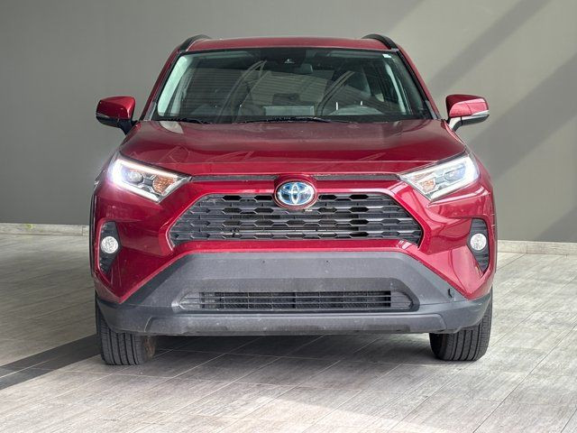 2020 Toyota RAV4 Hybrid XLE | Sunroof | Heated Seats in Cars & Trucks in Edmonton - Image 3