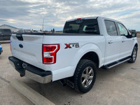 Experience the power and reliability of the 2020 Ford F-150 XLT, now available at Centennial Ford Sa... (image 4)