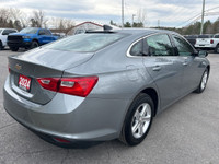 No reported accident. 1 owner. Equipped with lane assist, forward collision assist, remote start, pu... (image 6)