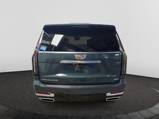 2025 Cadillac Escalade 4WD Premium Luxury in Cars & Trucks in Regina - Image 4