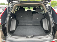 Heated Seats, Apple CarPlay, Android Auto, Remote Start, Adaptive Cruise Control! This all-new Honda... (image 9)