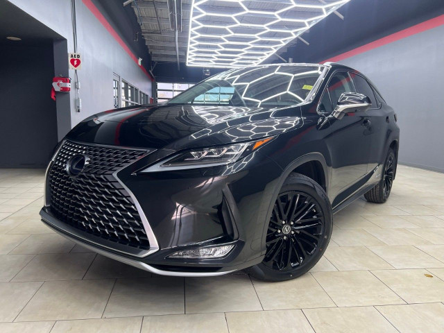 2020 Lexus RX in Cars & Trucks in Edmonton - Image 4