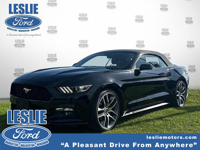 2015 Ford Mustang 2DR CONV ECOBOOST PREMIUM in Cars & Trucks in Stratford