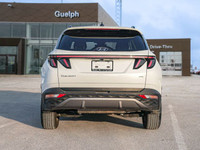 *Leather Seats, Panoramic Sunroof, Heated Steering Wheel, Heated Seats, Lane Follow Assist, Apple Ca... (image 4)