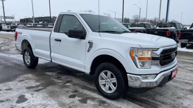 2022 Ford F-150 XLT READY TO WORK | REG CAB LONG BOX | 4X4 in Cars & Trucks in Kitchener / Waterloo - Image 2