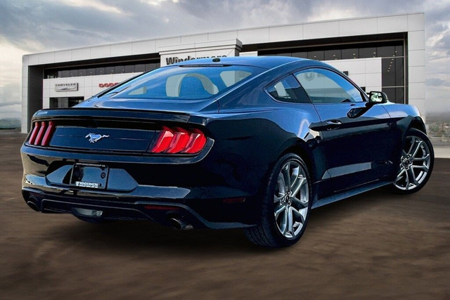 2019 Ford Mustang PREMIUM in Cars & Trucks in Edmonton - Image 2