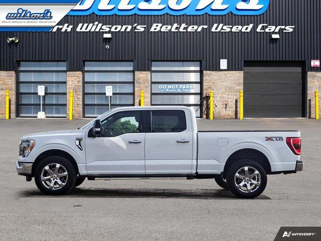 2023 Ford F-150 XLT Crew 4X4 | 6.5' Box | 5.0L | 302A | Max Tow in Cars & Trucks in Guelph - Image 2