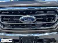 Engine: 8 Cylinder Engine 5.0L L/100Km City: 14.8 L/100Km Hwy: 10.9 Safety Equipment ABS And Driveli... (image 6)