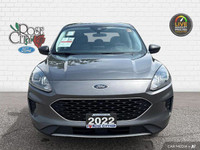 - ACCIDENT FREE - HEATED CLOTH SEATS - LANE KEEPING SYSTEM - BLIS w/ CROSS-TRAFFIC - PRE-COLLISION A... (image 8)